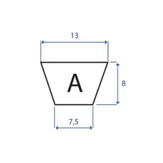 205.A19